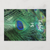 孔雀の羽結婚のテーブル番号 ポストカード (裏面)