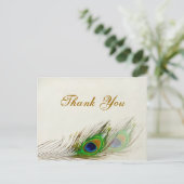 孔雀の羽結婚の感謝はがき ポストカード (スタンド正面)