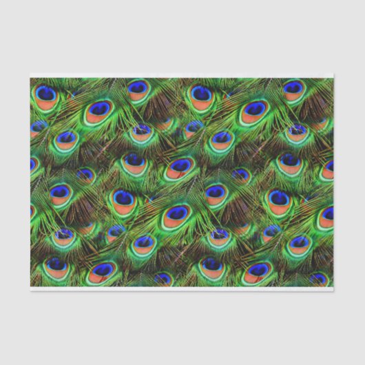 孔雀の羽7A-Bオプション 薄葉紙 (正面)