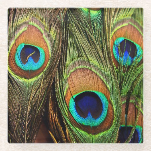 孔雀の羽 ガラスコースター (正面)