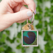 孔雀の羽 キーホルダー (手)