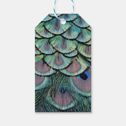 孔雀の羽 ギフトタグ (正面)