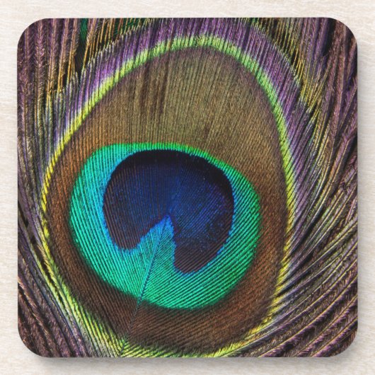 孔雀の羽 コースター (正面)