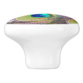 孔雀の羽 セラミックノブ (側面)