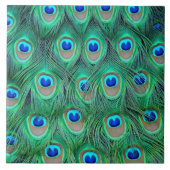 孔雀の羽 タイル (正面)