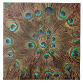 孔雀の羽 タイル (正面)