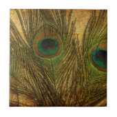 孔雀の羽 タイル (正面)