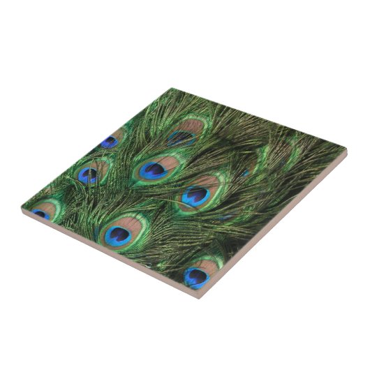 孔雀の羽 タイル (側面)