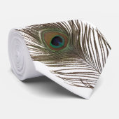 孔雀の羽 ネクタイ (ロール)