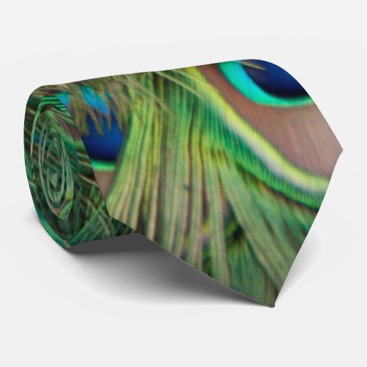 孔雀の羽 ネクタイ (ロール)