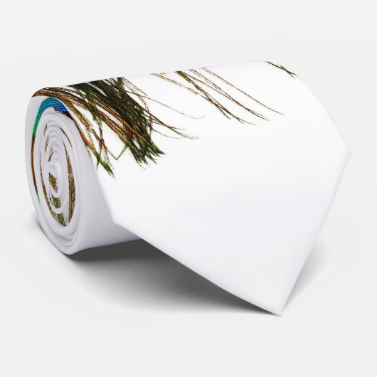 孔雀の羽 ネクタイ (ロール)