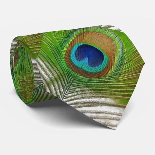 孔雀の羽 ネクタイ (ロール)