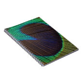 孔雀の羽 ノートブック (右側)