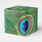 孔雀の羽 フェイバーボックス (正面サイド)