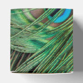 孔雀の羽 フェイバーボックス (上部)