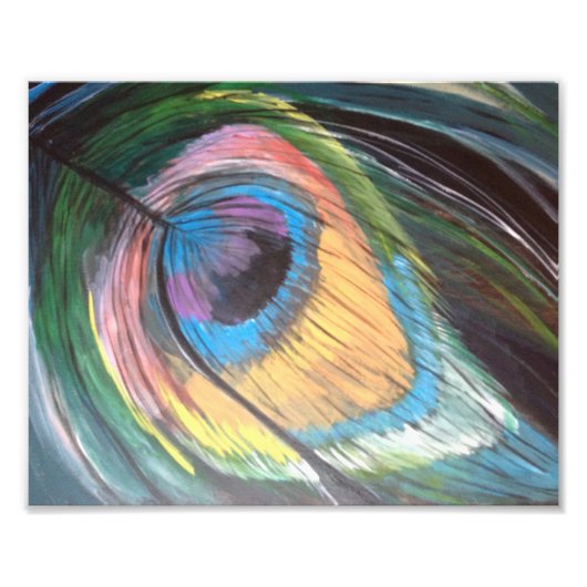 孔雀の羽 フォトプリント            (正面)