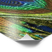 孔雀の羽 フォトプリント            (角)