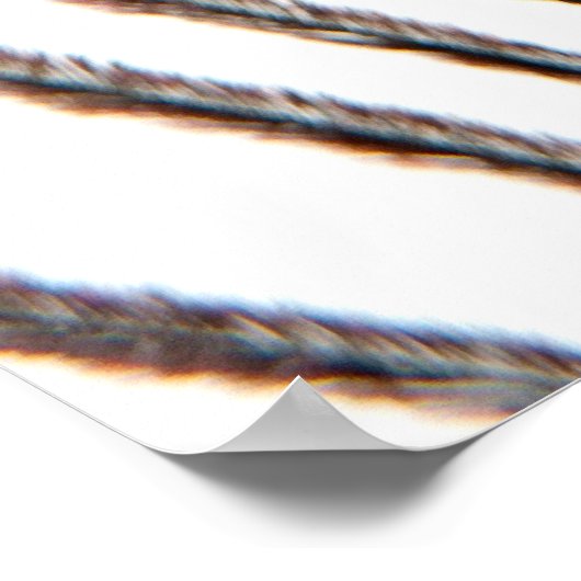 孔雀の羽 ポスター (角)