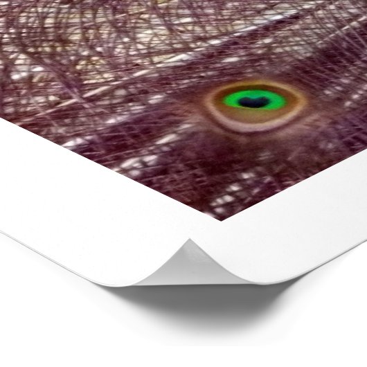 孔雀の羽 ポスター (角)