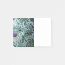 孔雀の羽 ポストイット