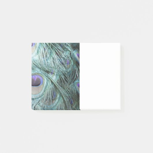孔雀の羽 ポストイット (正面)