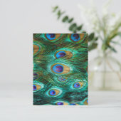 孔雀の羽 ポストカード (スタンド正面)