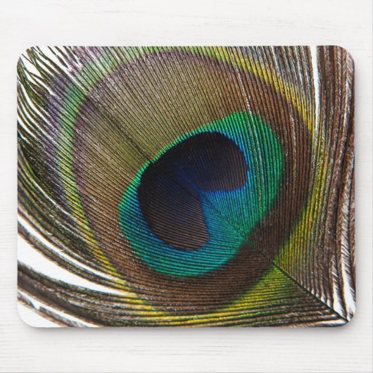 孔雀の羽 マウスパッド (正面)