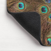 孔雀の羽 マウスパッド (コーナー)