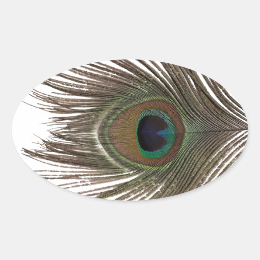 孔雀の羽 楕円形シール (正面)
