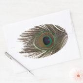 孔雀の羽 楕円形シール (封筒)