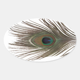 孔雀の羽 楕円形シール