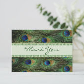 孔雀の羽 結婚式 感謝 (スタンド正面)