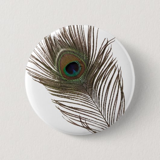 孔雀の羽 缶バッジ (正面)