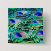 孔雀の羽 缶バッジ (正面)