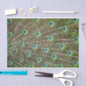 孔雀の羽 薄葉紙 (クラフト)