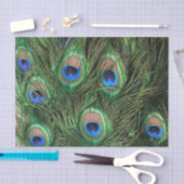 孔雀の羽 薄葉紙 (クラフト)