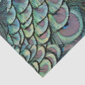 孔雀の羽 薄葉紙 (詳細)