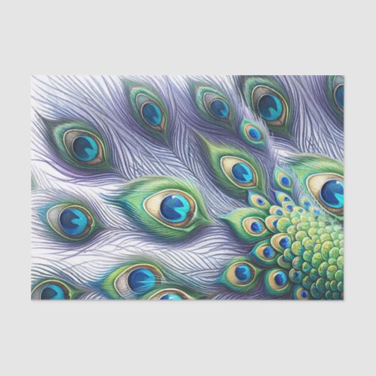 孔雀の羽 薄葉紙 (正面)