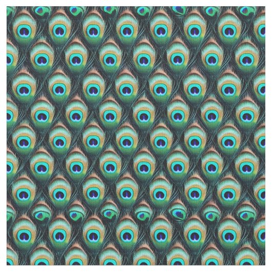 孔雀の羽 – 2 ファブリック (クローズアップ)