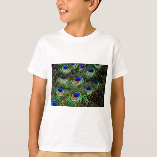 孔雀の羽 Tシャツ (正面)
