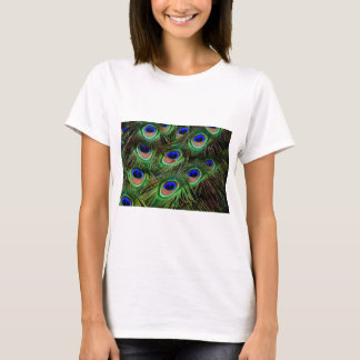 孔雀の羽 Tシャツ