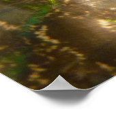 孔雀の羽III （メス）微妙な自然デザイン ポスター (角)