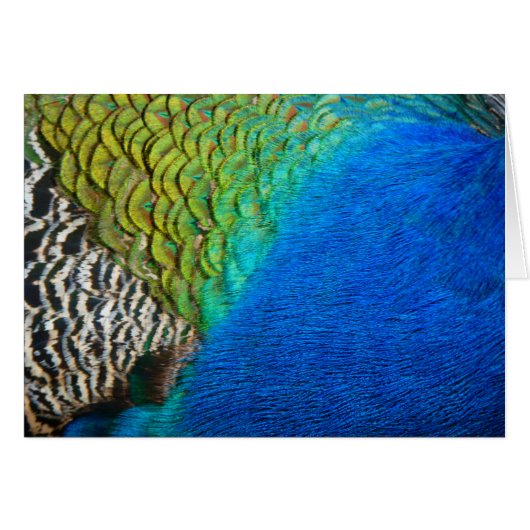 孔雀の羽IVカラフル抽象芸術自然 (正面横)