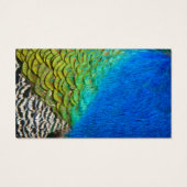 孔雀の羽IVカラフル抽象芸術自然 (裏面)