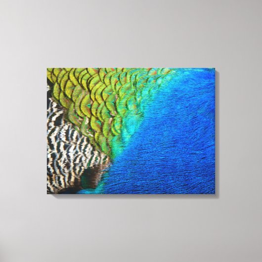 孔雀の羽IVカラフル抽象芸術自然 キャンバスプリント (正面)