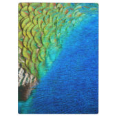 孔雀の羽IVカラフル抽象芸術自然 クリップボード (裏面)