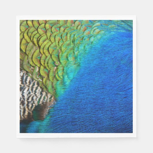 孔雀の羽IVカラフル抽象芸術自然 スタンダードランチョンナプキン (正面)
