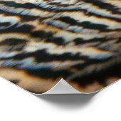 孔雀の羽IVカラフル抽象芸術自然 ポスター (角)