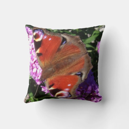 孔雀の蝶と仏陀 クッション (裏面)