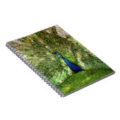 孔雀の螺線形ノート ノートブック (右側)